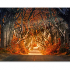Obraz Kouzelná alej, 150x80 cm - 3