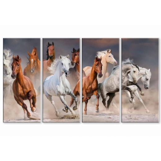 Obraz Krása koní, 120x70 cm - 1