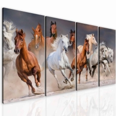Obraz Krása koní, 120x70 cm - 2