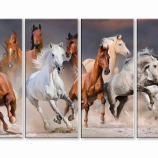 Obraz Krása koní, 160x90 cm - 1
