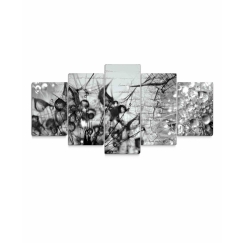 Obraz Krása v kvapkách rosy, 150x70 cm