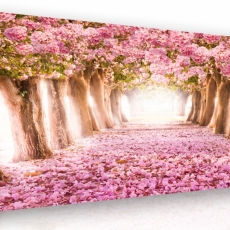 Obraz Kvitnúce stromy, 120x80 cm - 2