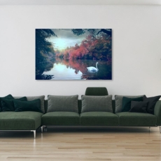 Obraz Labuť na jazere, 150x100 cm - 2