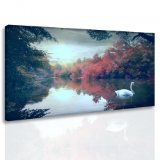 Obraz Labuť na jezeře, 150x100 cm - 3