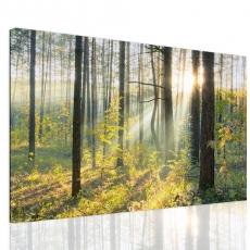 Obraz Lesní pohádka, 60x40 cm - 3