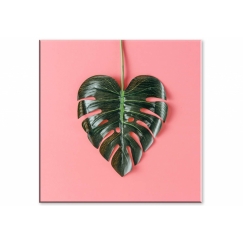 Obraz List, 50x50 cm