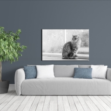 Obraz Mačka, 90x60 cm - 1