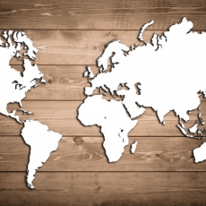 Obraz Mapa světa na dřevu, 120x80 cm - 1