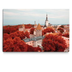 Obraz Mesto Tallinn, 90x60 cm - 3
