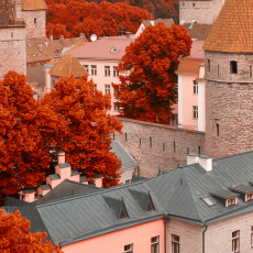Obraz Mesto Tallinn, 90x60 cm - 4