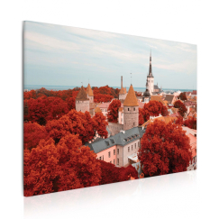 Obraz Mesto Tallinn, 90x60 cm