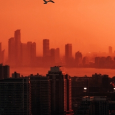Obraz Mesto v červenom, 50x75 cm - 4
