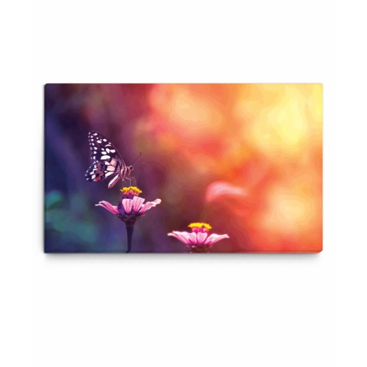 Obraz Motýľ na kvetine, 120x60 cm - 1