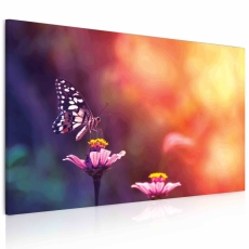 Obraz Motýľ na kvetine, 120x60 cm - 3