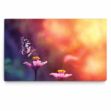 Obraz Motýľ na kvetine, 120x60 cm - 1