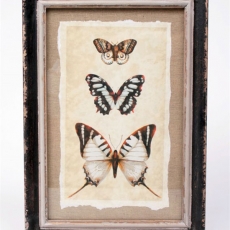 Obraz Motýli, 34x24 cm - 1