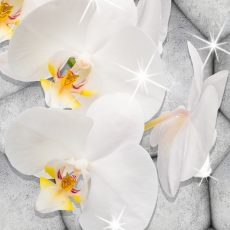 Obraz Orchidea s diamantmi, 120x80 cm - 3