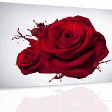 Obraz Ruža, 120x80 cm - 3