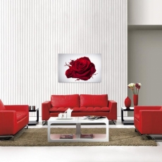 Obraz Ruža, 120x80 cm - 2