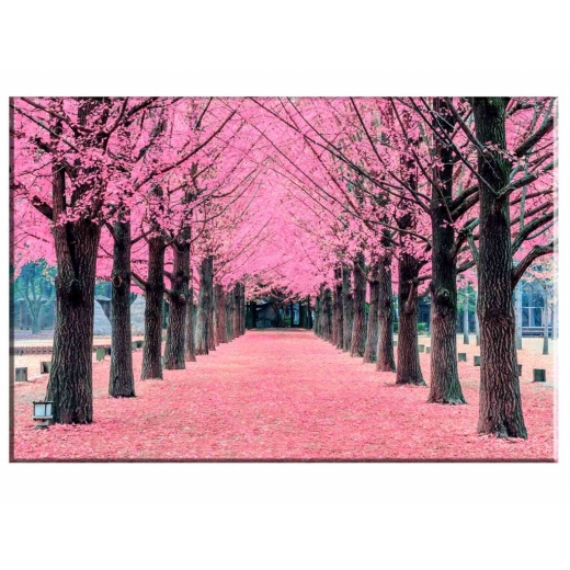 Obraz Ružová alej,  120x80 cm - 1