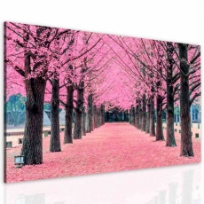 Obraz Ružová alej,  120x80 cm - 3