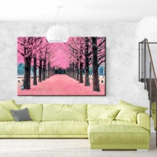 Obraz Ružová alej,  120x80 cm - 2