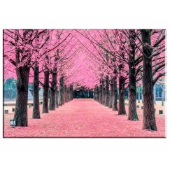 Obraz Růžová alej, 120x80 cm
