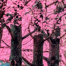 Obraz Ružová alej, 30x20 cm - 4