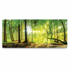 Obraz Slnko v lese, 130x60 cm - 1