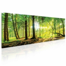 Obraz Slnko v lese, 55x25 cm - 2