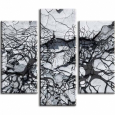 Obraz Stíny stromů na kameni, 150x80 cm - 1