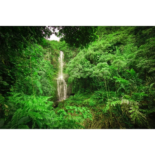 Obraz Vodopád v lese, 120x80 cm - 1