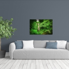 Obraz Vodopád v lese, 120x80 cm - 2