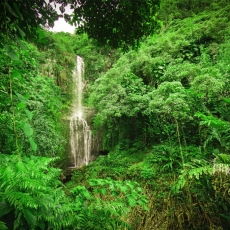 Obraz Vodopád v lese, 120x80 cm - 1