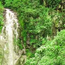 Obraz Vodopád v lese, 120x80 cm - 4