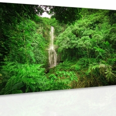 Obraz Vodopád v lese, 60x40 cm - 3