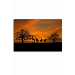 Obraz Západ slnka na safari, 150x70 cm