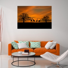 Obraz Západ slunce na safari, 120x80 cm - 2