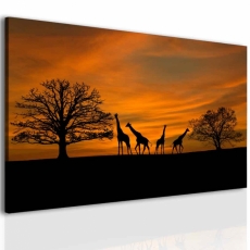 Obraz Západ slunce na safari, 150x70 cm - 3