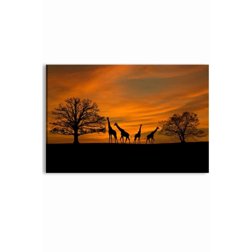 Obraz Západ slunce na safari, 90x60 cm - 1