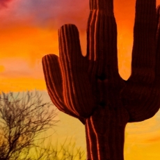 Obraz Západ slunce v poušti, 120x80 cm - 4