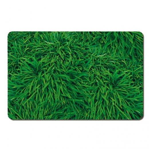 Prostírání Grass, 44x29 cm (SET 4 ks) - 1