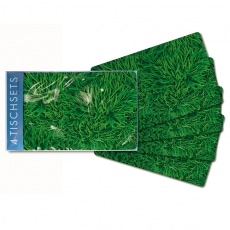 Prostírání Grass, 44x29 cm (SET 4 ks) - 2
