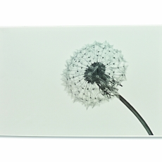 Skříňka na klíče Pamp, 28 cm, bílá - 2