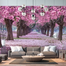 Tapeta 3D Růžový sad, 432 x 290 cm - 1