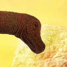 Tapeta Dinosaury, 144 x 105 cm - 3