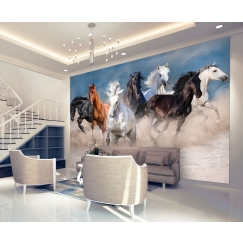 Tapeta Kone v kluse, 504 x 310 cm