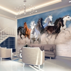 Tapeta Koně v klusu, 288 x 200 cm - 1