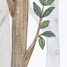 Tapeta Les ilustrace, 360 x 260 cm - 3