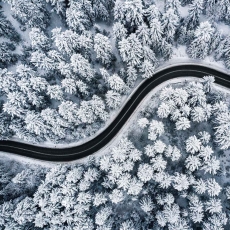 Tapeta Les z ptačí perspektivy, 360 x 260 cm - 2